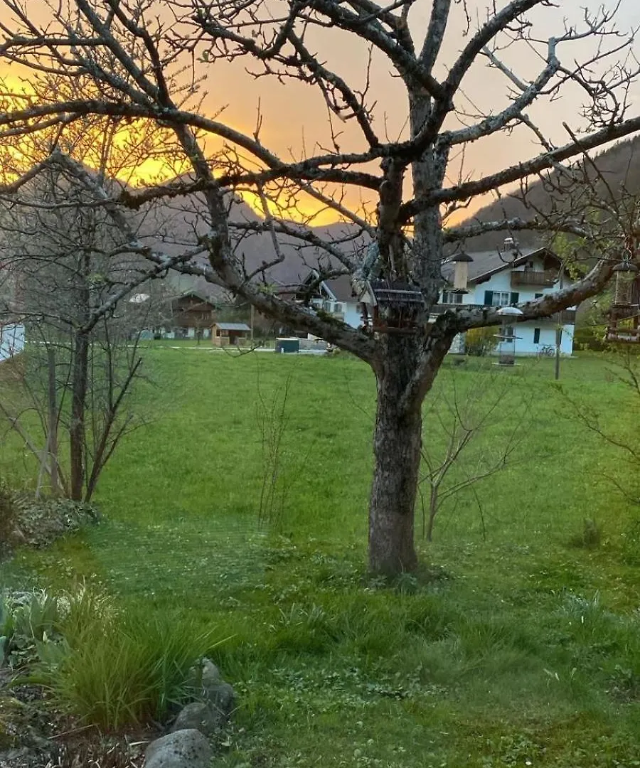 Apartment Ferienwohnung Bachl Inkl. Chiemgaukarte Ruhpolding